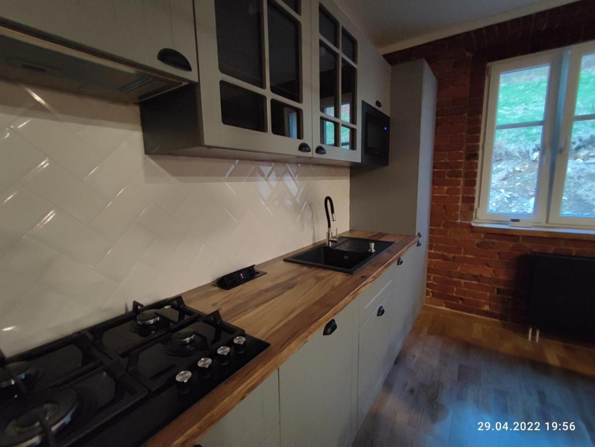 Izerska Weranda - Gorski Apartament 120M2 Swieradow-Zdroj Bagian luar foto